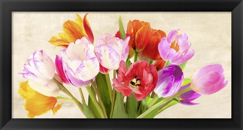 Framed Tulips in Spring Print