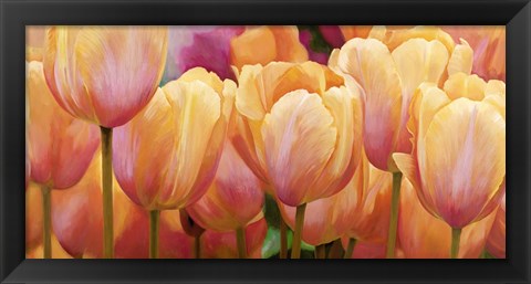 Framed Summer Tulips Print