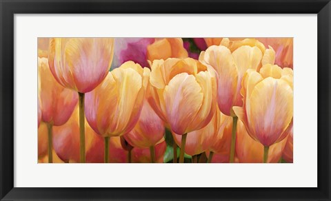 Framed Summer Tulips Print