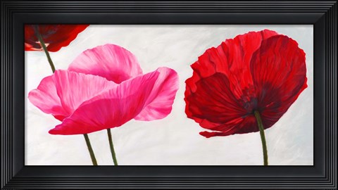 Framed Trio Print