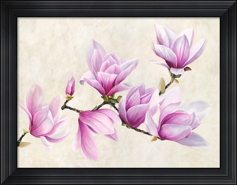 Framed Ramo di Magnolia Print