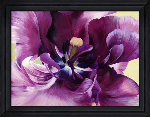 Framed Purple Tulip Close-up Print