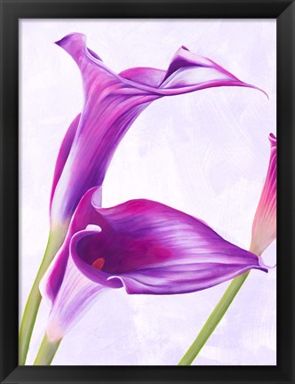 Framed Duet I Print