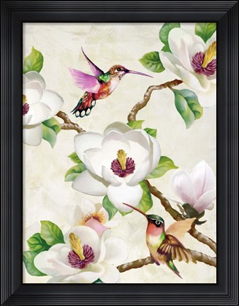 Framed Magnolia and Humming Birds Print