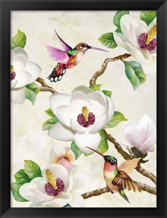 Framed Magnolia and Humming Birds Print