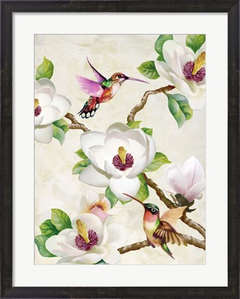 Framed Magnolia and Humming Birds Print