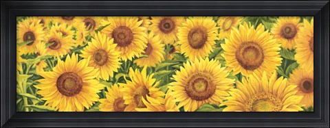 Framed Field of Sunflowers Print