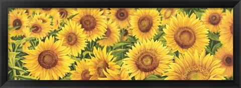 Framed Field of Sunflowers Print