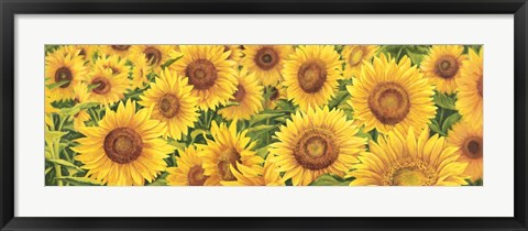 Framed Field of Sunflowers Print