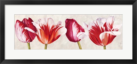 Framed Gioiosi Tulipani Print