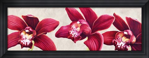 Framed Eleganti Orchidee Print
