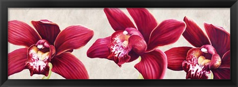 Framed Eleganti Orchidee Print