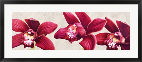 Framed Eleganti Orchidee Print