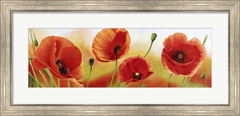 Framed Poppies in the Wind Print