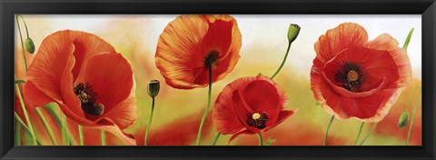 Framed Poppies in the Wind Print