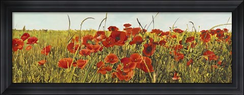 Framed Poppy Field Print