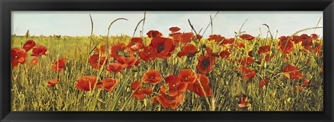 Framed Poppy Field Print
