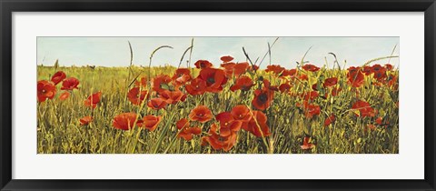 Framed Poppy Field Print