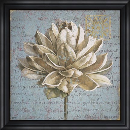 Framed Seed Pod I Print