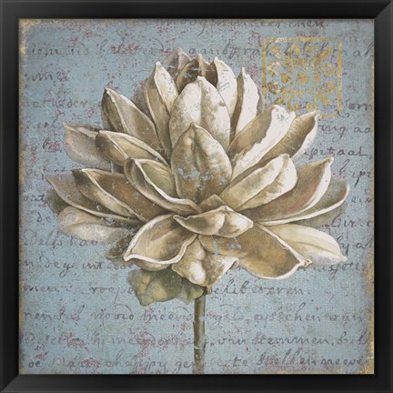 Framed Seed Pod I Print