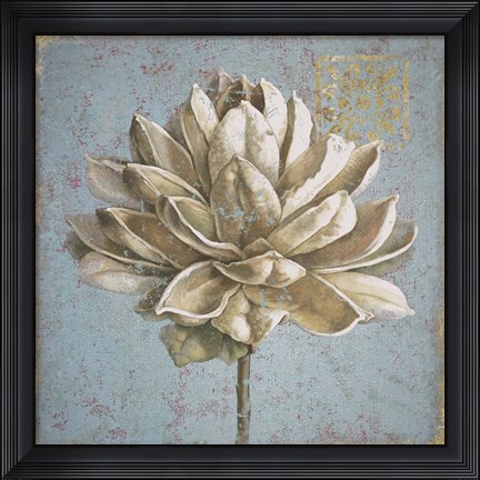 Framed Seed Pod I no Words Print