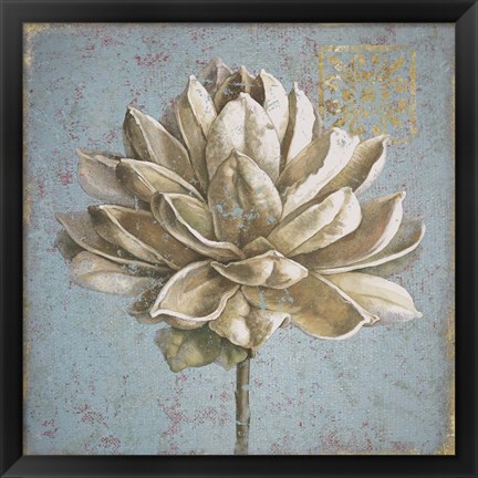 Framed Seed Pod I no Words Print