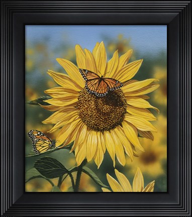 Framed Sunflower/Butterflies Print