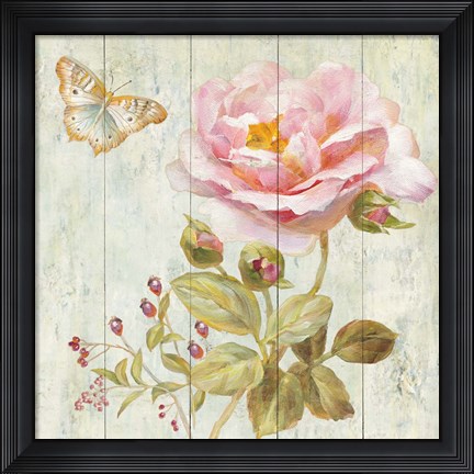 Framed Natural Flora II Print