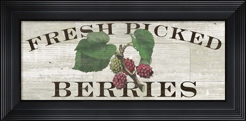 Framed Farm Fresh Berries Print