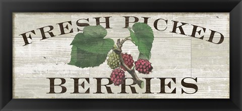 Framed Farm Fresh Berries Print