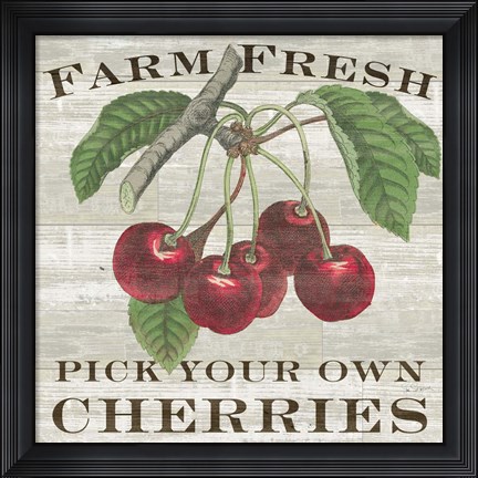 Framed Farm Fresh Cherries I Print