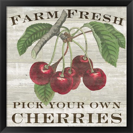 Framed Farm Fresh Cherries I Print