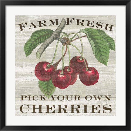 Framed Farm Fresh Cherries I Print