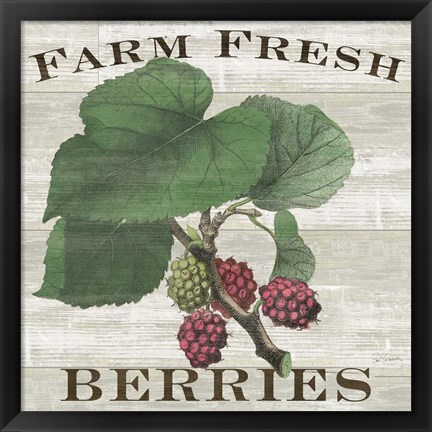 Framed Farm Fresh Berries I Print