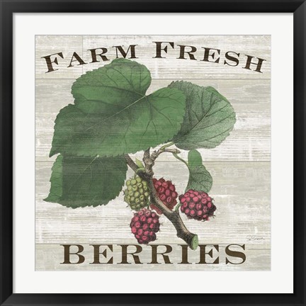 Framed Farm Fresh Berries I Print