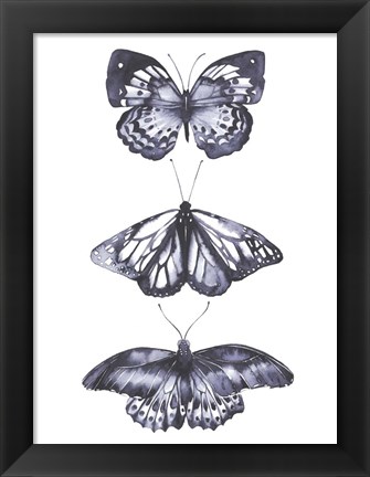 Framed Monochrome Butterflies II Print