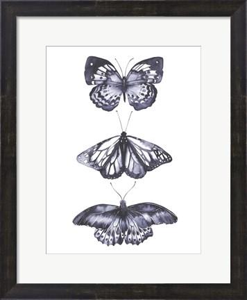 Framed Monochrome Butterflies II Print
