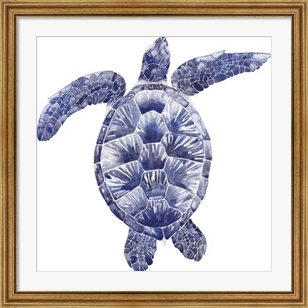 Framed Marine Turtle II Print