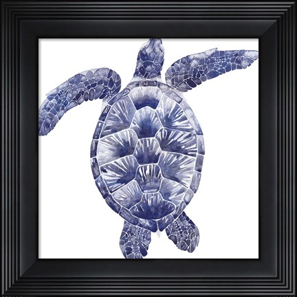 Framed Marine Turtle II Print