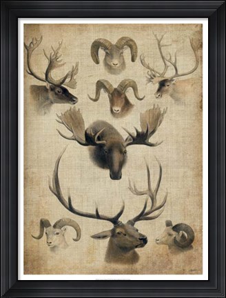 Framed American Trophy I Print