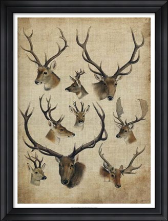 Framed American Trophy II Print