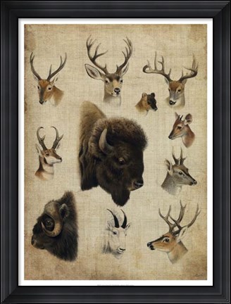 Framed American Trophy III Print