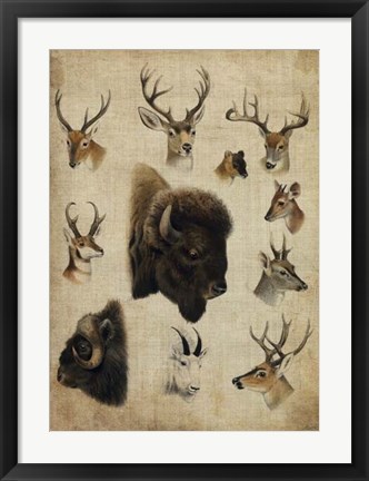 Framed American Trophy III Print