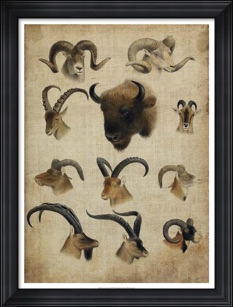 Framed American Trophy IV Print