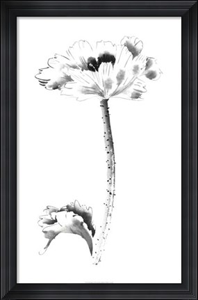 Framed Ink Poppy Print