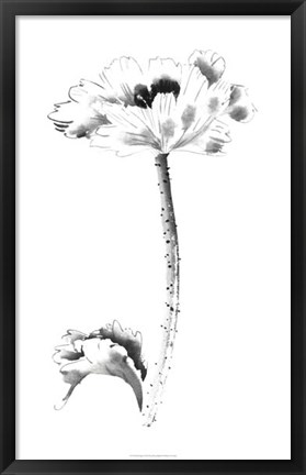 Framed Ink Poppy Print