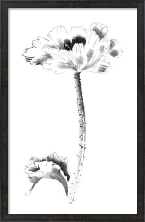 Framed Ink Poppy Print