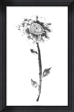 Framed Ink Rose Print