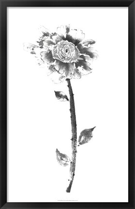 Framed Ink Rose Print