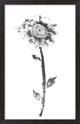 Framed Ink Rose Print